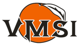 VMSI Logo